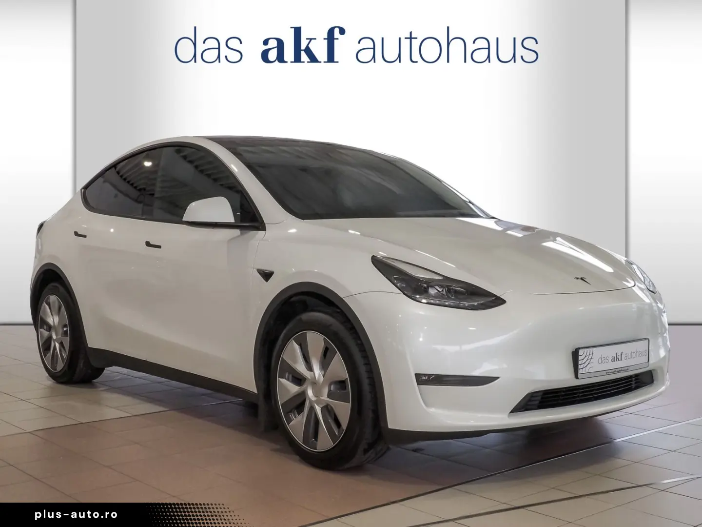 TESLA Model Y Long Range Dual AWD-75 kWh Navi Kamera P