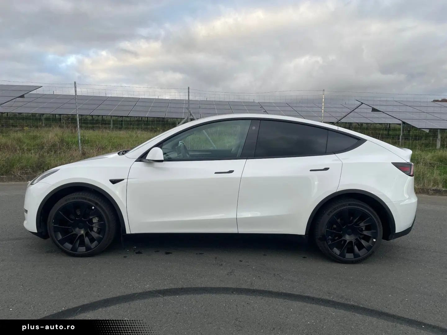 TESLA Model Y Long Range Dual AWD 20 Zoll