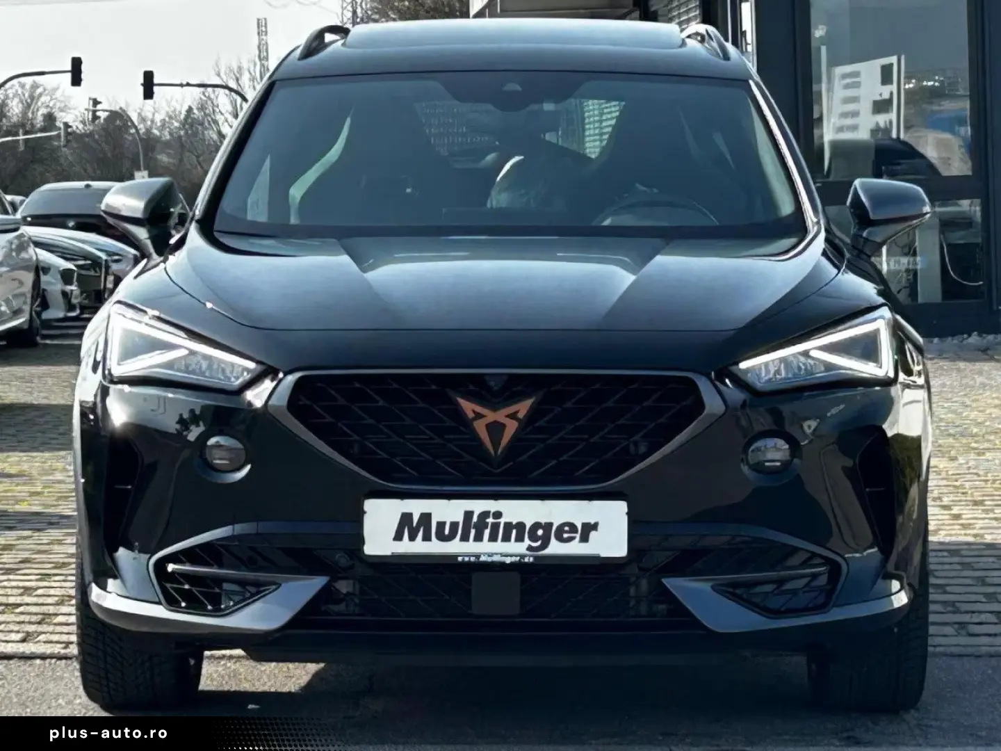 Cupra Formentor 2.0 TSI 4Drive VZ ACC SuView PanoD.AHK