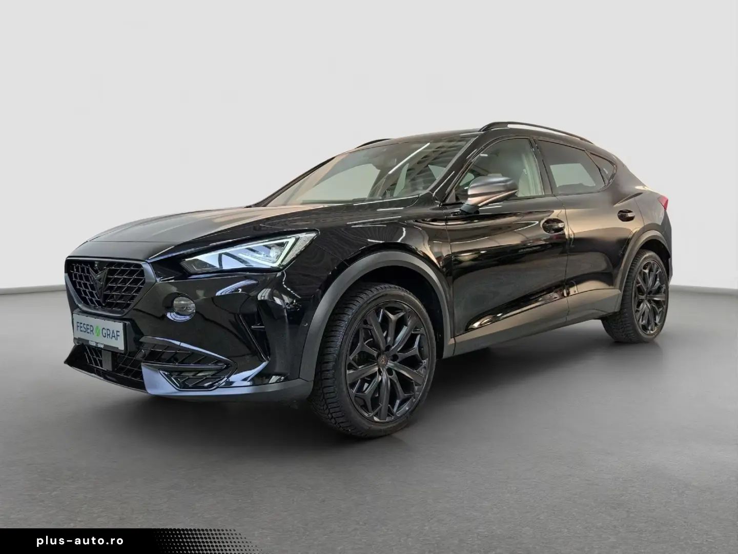 Cupra Formentor VZ 2.0 TSI DSG TRIBE LED AHK PANO MATR