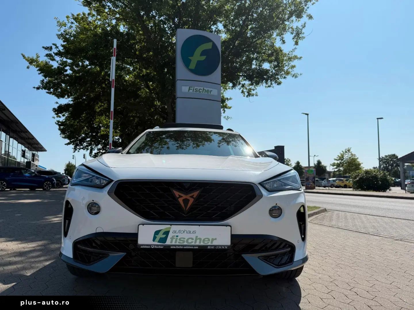 Cupra Formentor VZ 4Drive Pano 360  Memory Beats