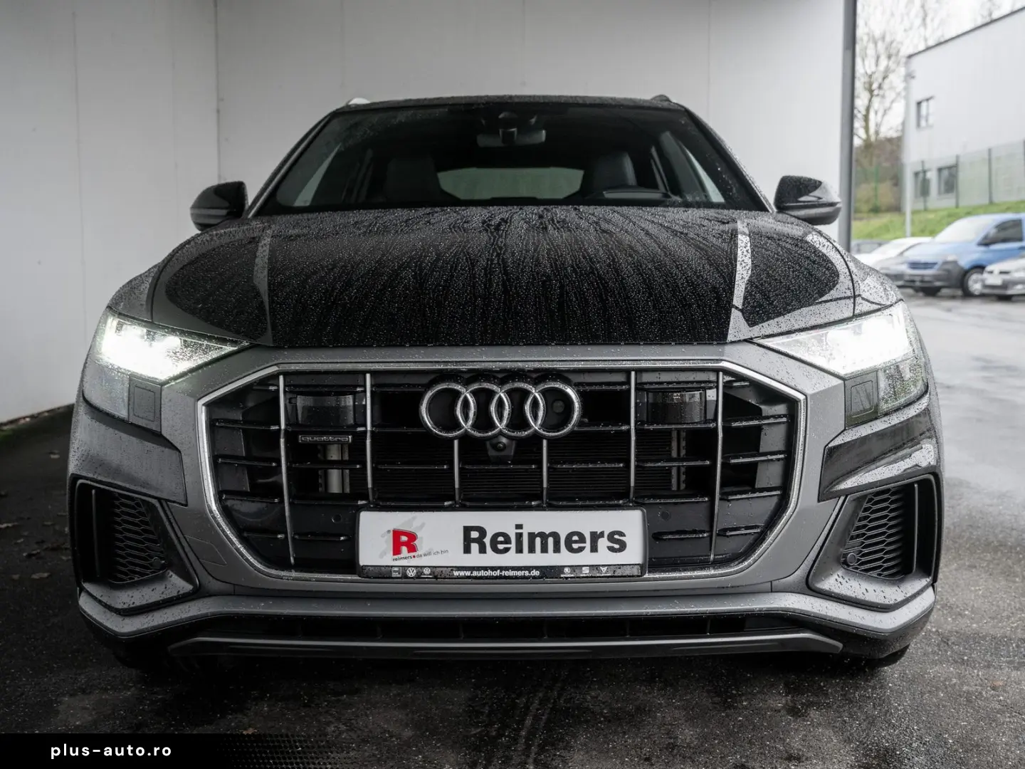 AUDI Q8 55 3.0 TFSI e quattro 55 TFSI e quattro Pano