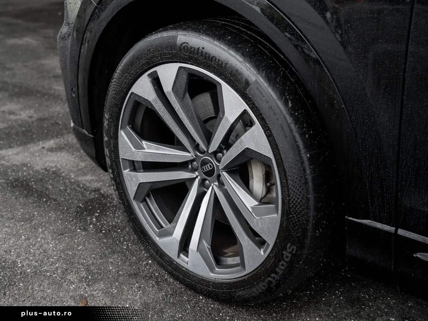 AUDI Q8 55 3.0 TFSI e quattro 55 TFSI e quattro Pano