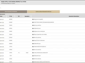 Renault Kadjar Facelift 1.5 dci - Camera - Carplay