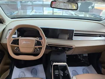 Actyon Benzina - Executiv