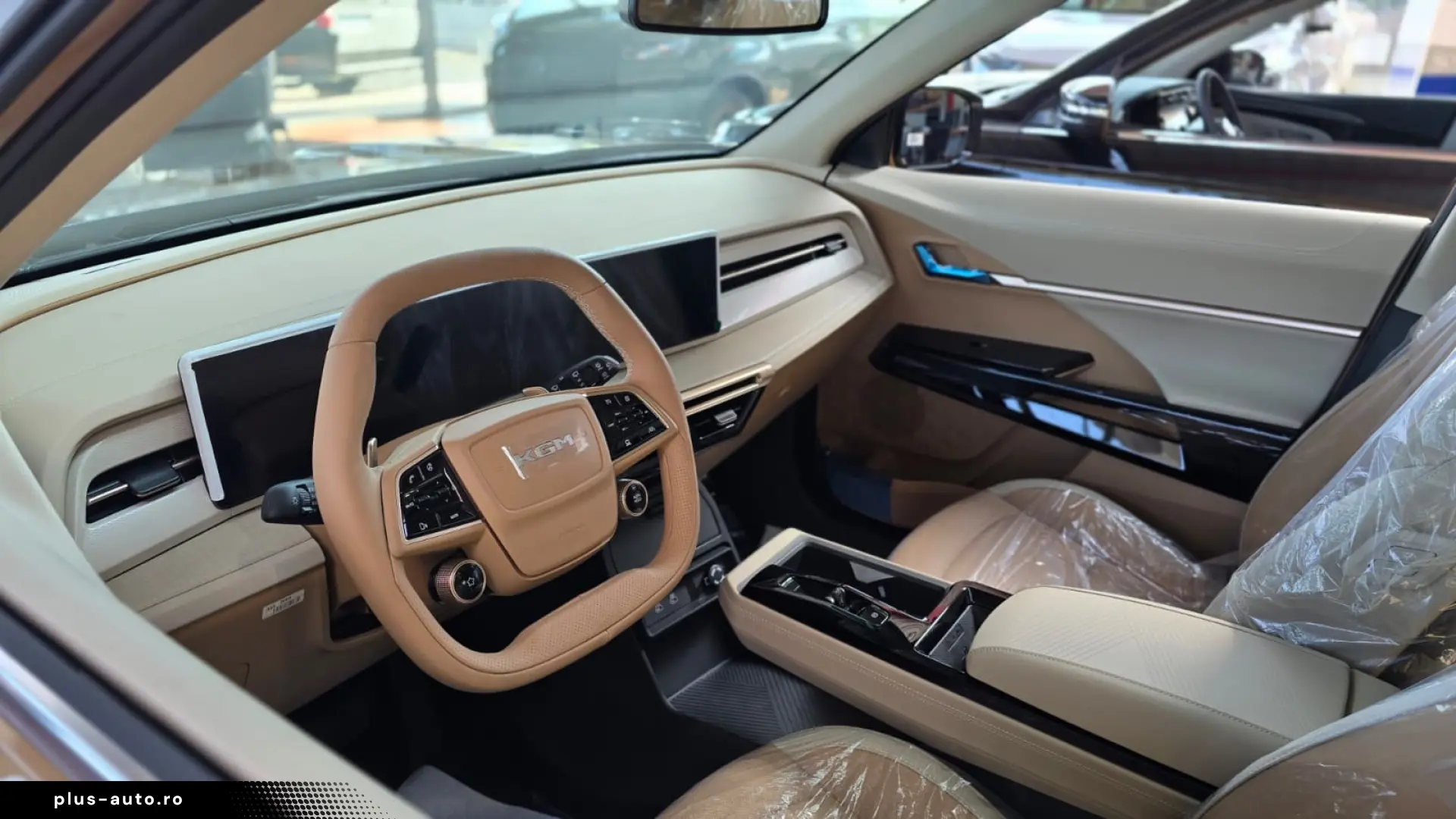 Actyon Benzina - Executiv