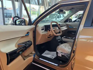 Actyon Benzina - Executiv