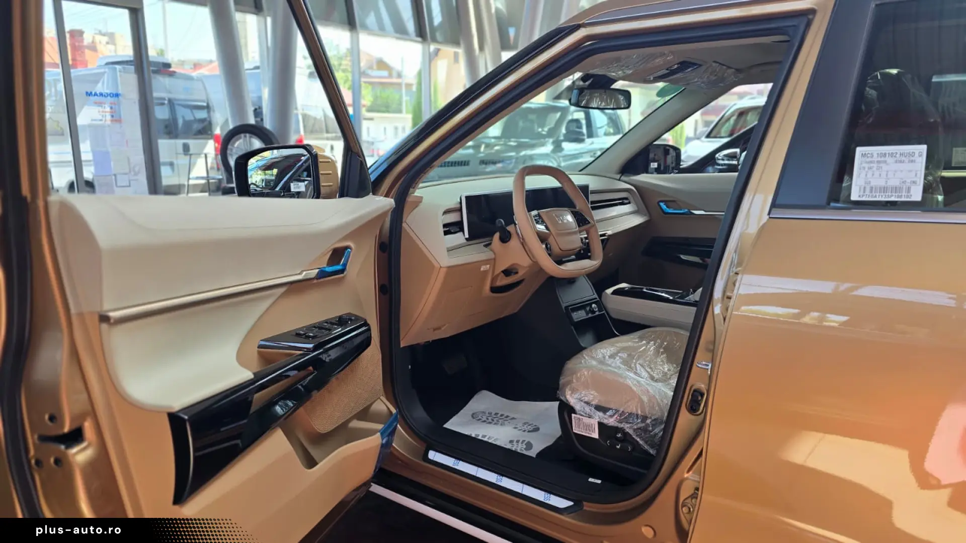 Actyon Benzina - Executiv