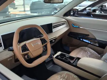 Actyon Benzina - Executiv