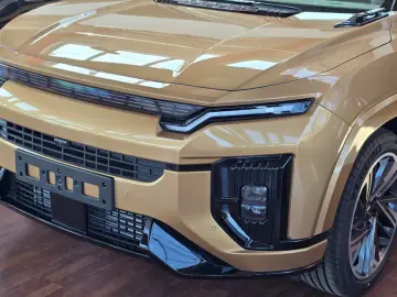 Actyon Benzina - Executiv