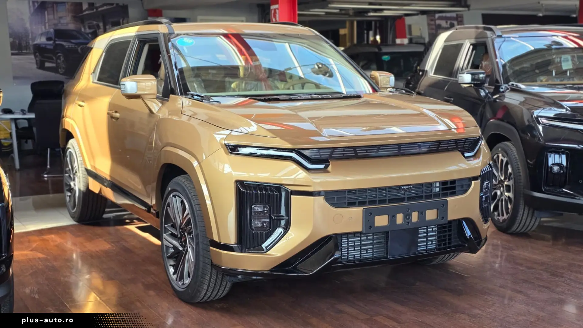 Actyon Benzina - Executiv