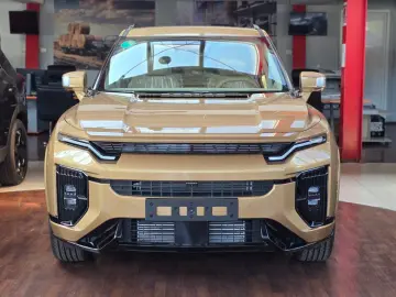 Actyon Benzina - Executiv