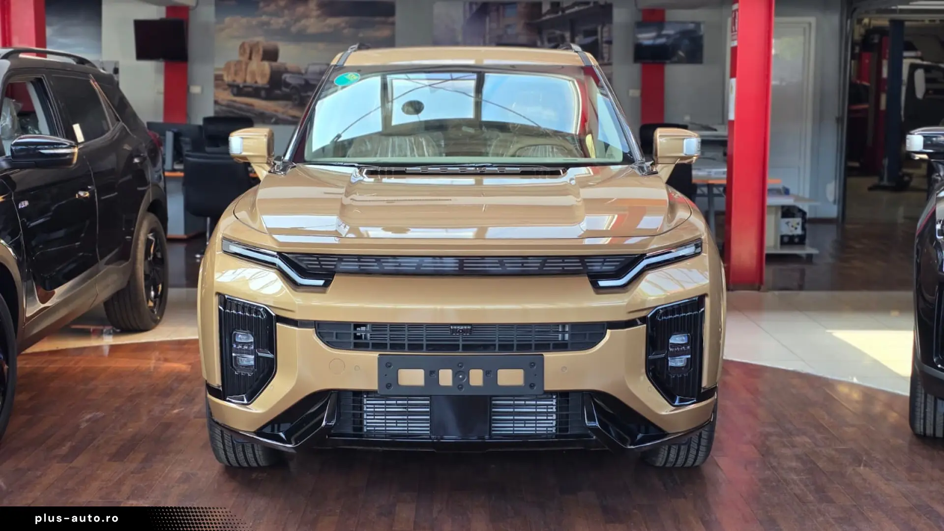 Actyon Benzina - Executiv