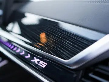 BMW X5 xDrive40d M-Sport AHK ACC PANO Sitzlüft 360