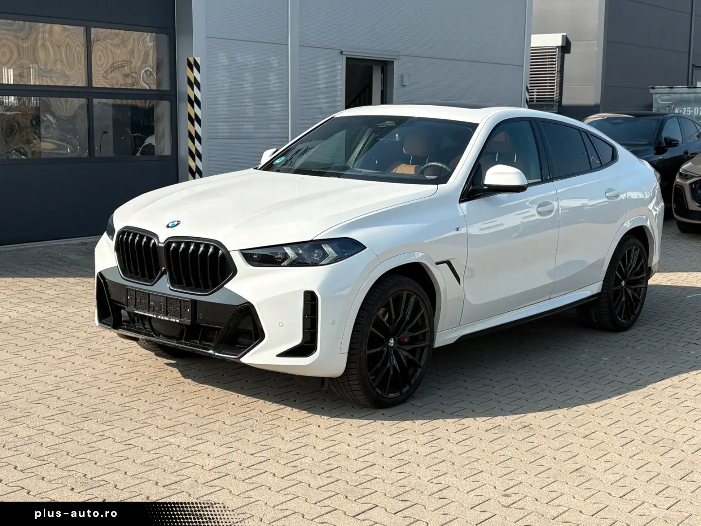 BMW X6 30 d xDr M SportPRO Travel-Inova  Leder Braun