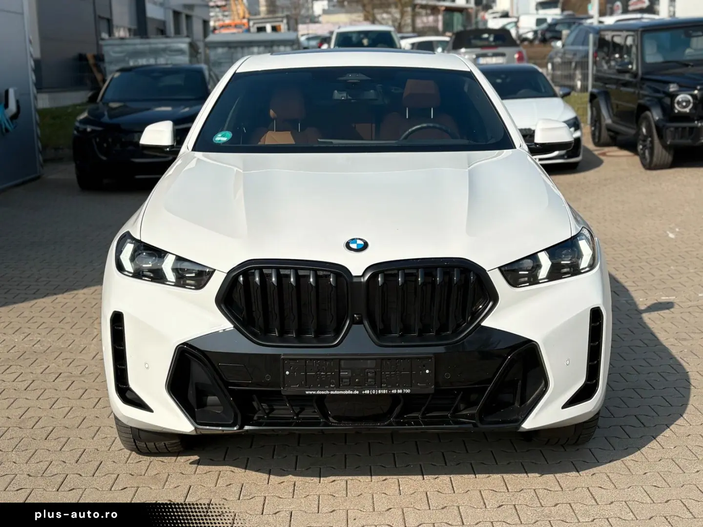BMW X6 30 d xDr M SportPRO Travel-Inova  Leder Braun