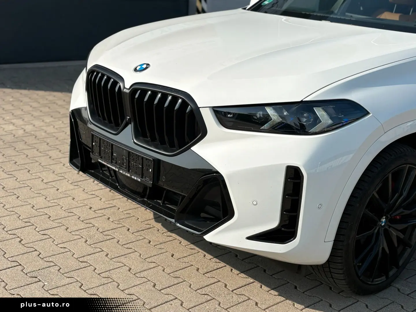 BMW X6 30 d xDr M SportPRO Travel-Inova  Leder Braun