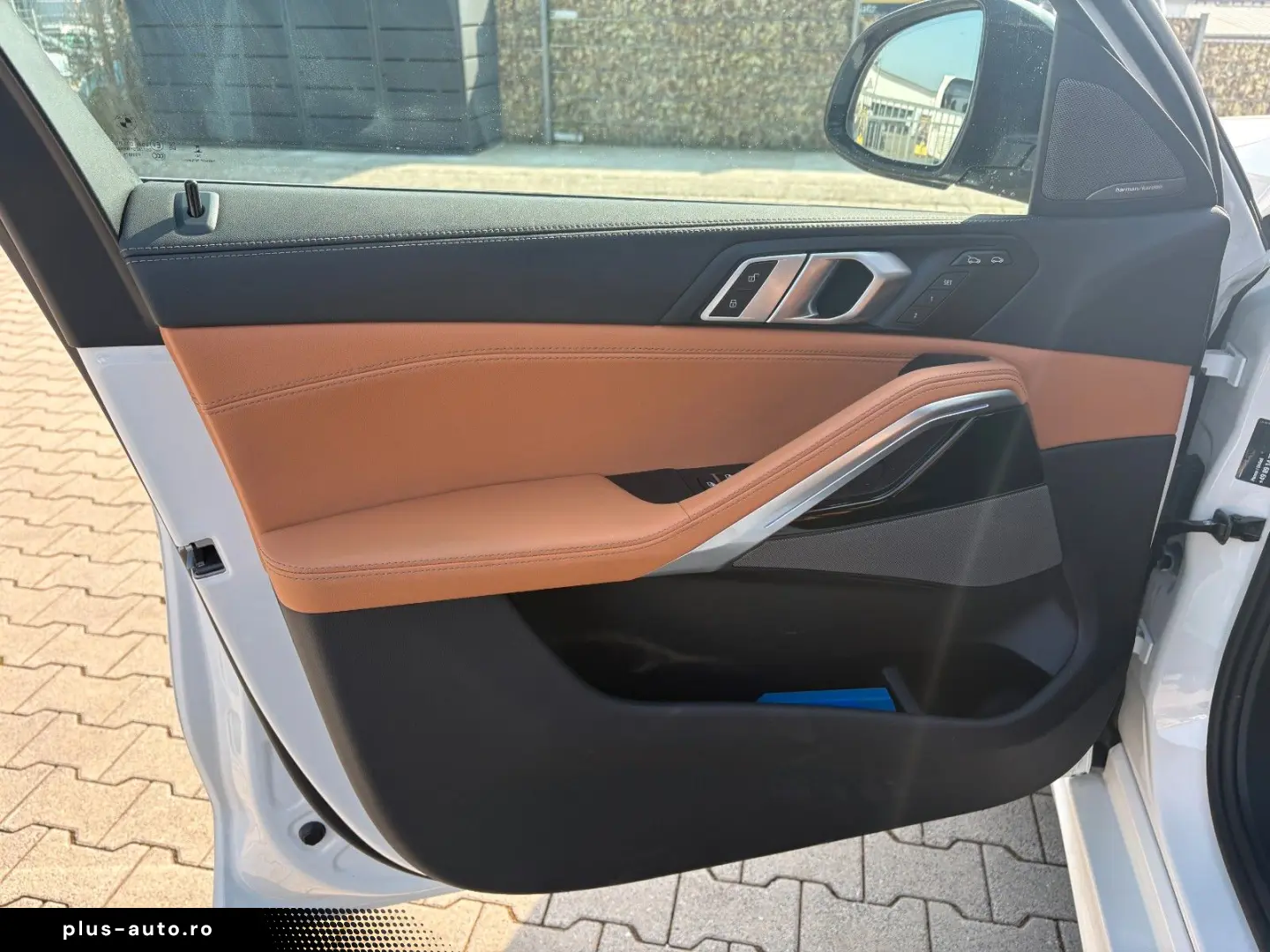 BMW X6 30 d xDr M SportPRO Travel-Inova  Leder Braun