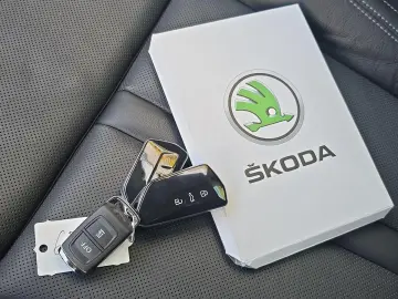 SKODA Octavia TDI 4x4 DSG STNDHZ SITZBLF MATRIX LEDER