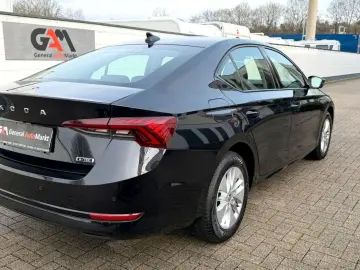 SKODA Octavia Lim. Business Rückfahrkamera LED DAB DSG