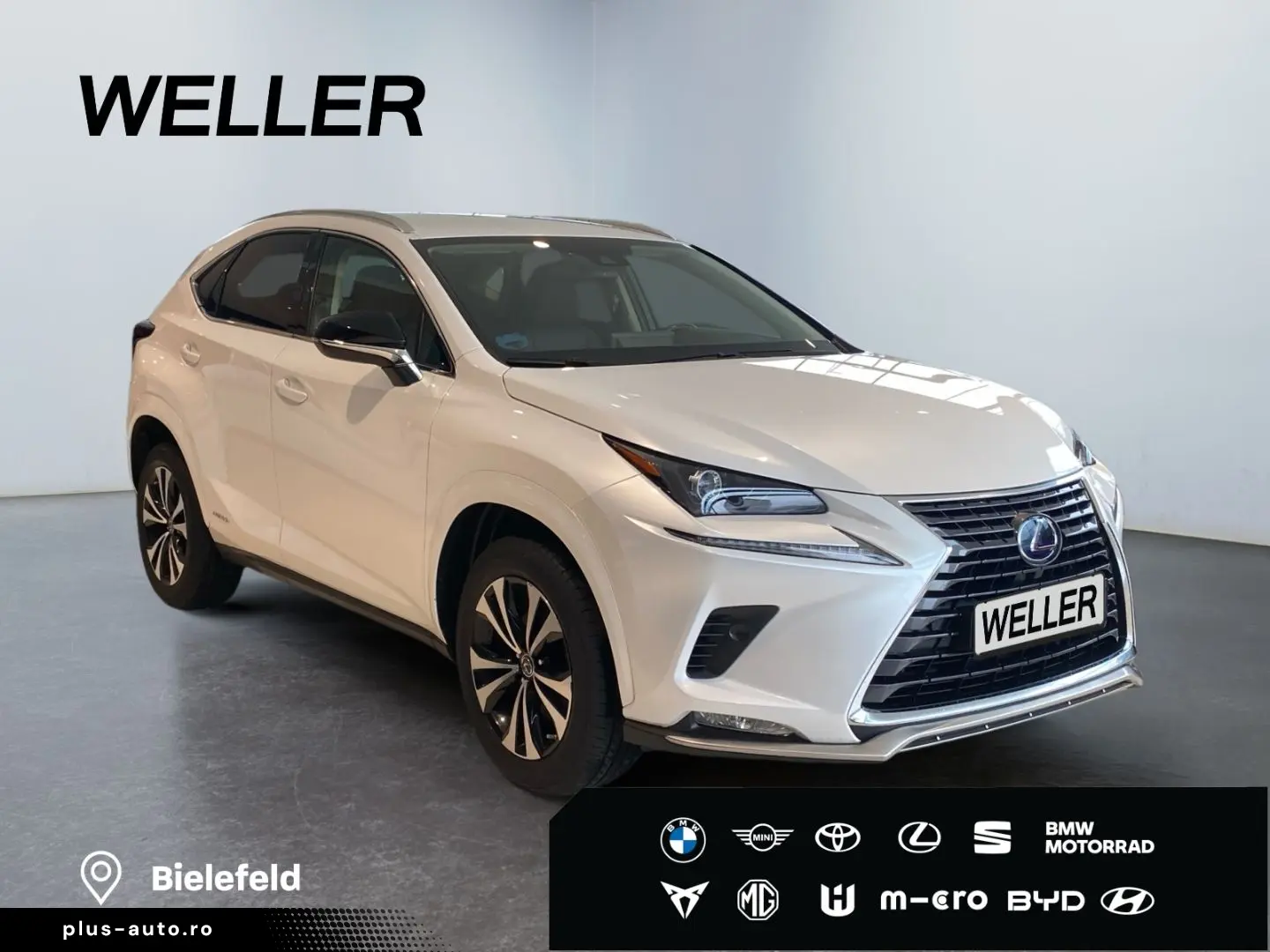 LEXUS NX 300h Style Edition  Bi-LED CAM SHZ CarPlay PD