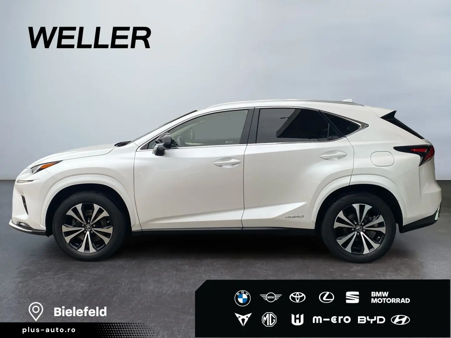 LEXUS NX 300h Style Edition  Bi-LED CAM SHZ CarPlay PD