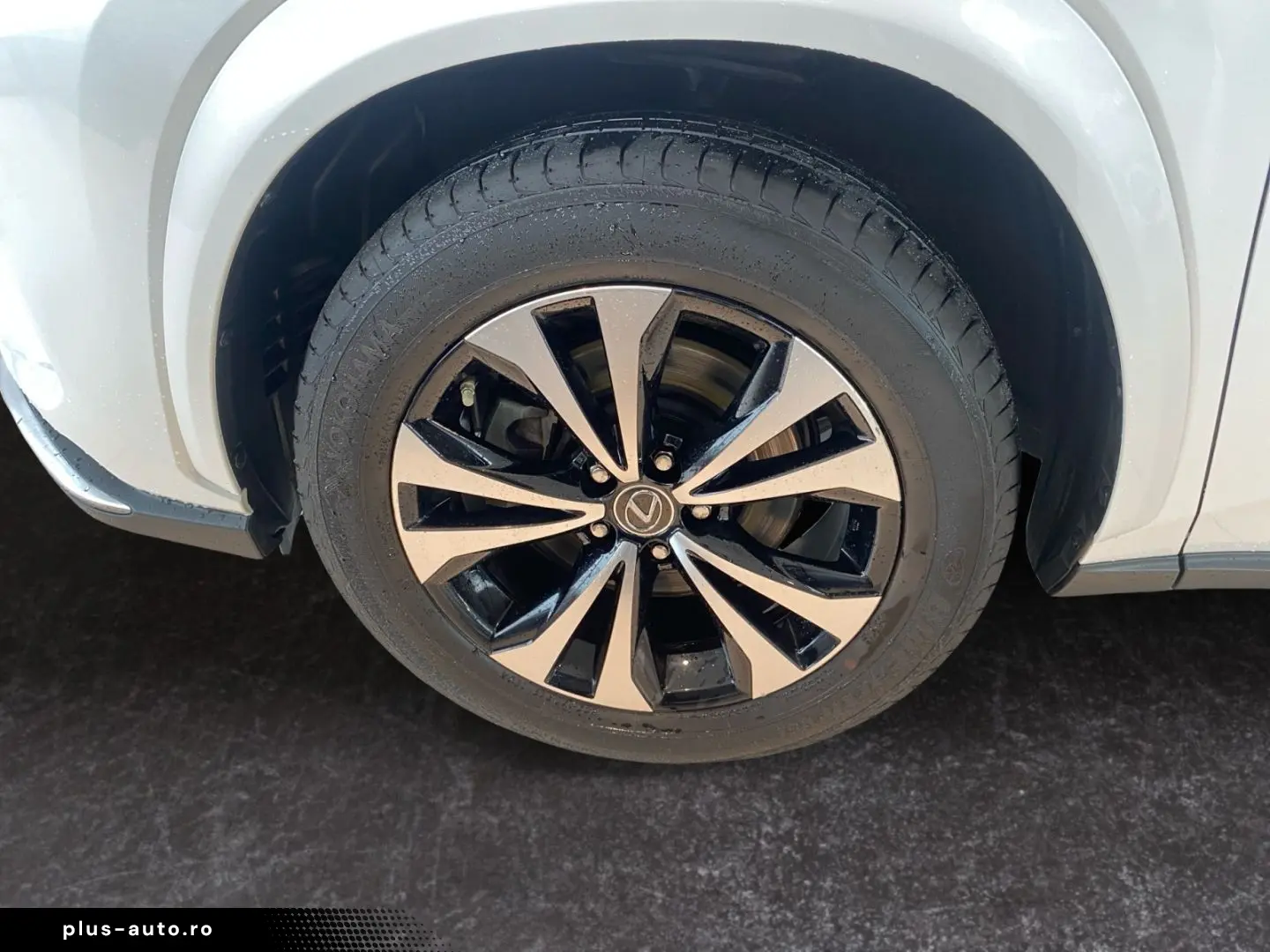 LEXUS NX 300h Style Edition  Bi-LED CAM SHZ CarPlay PD