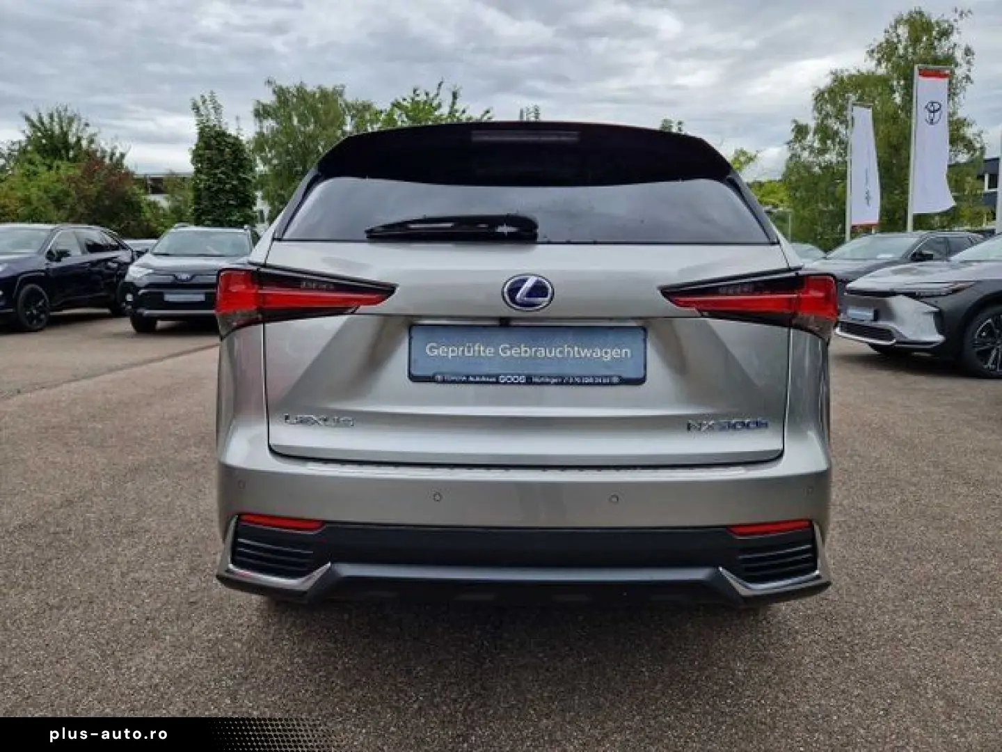LEXUS NX 300h E-FOUR Executive Line Panodach Navi LED