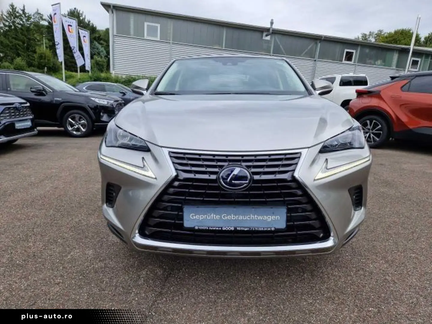 LEXUS NX 300h E-FOUR Executive Line Panodach Navi LED