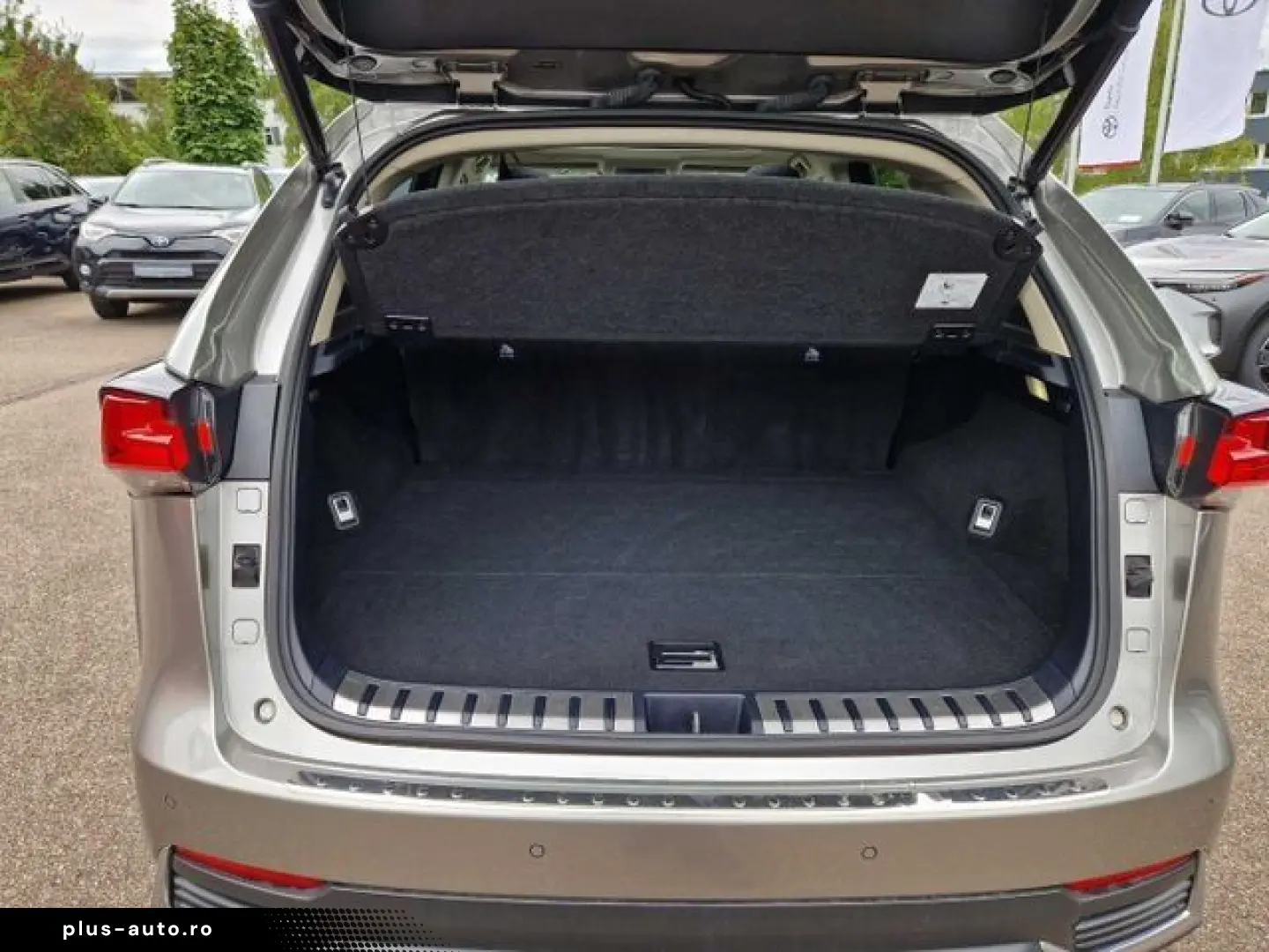 LEXUS NX 300h E-FOUR Executive Line Panodach Navi LED