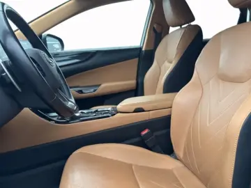 LEXUS NX 450 360  Leder Memory Sitzbelüftung