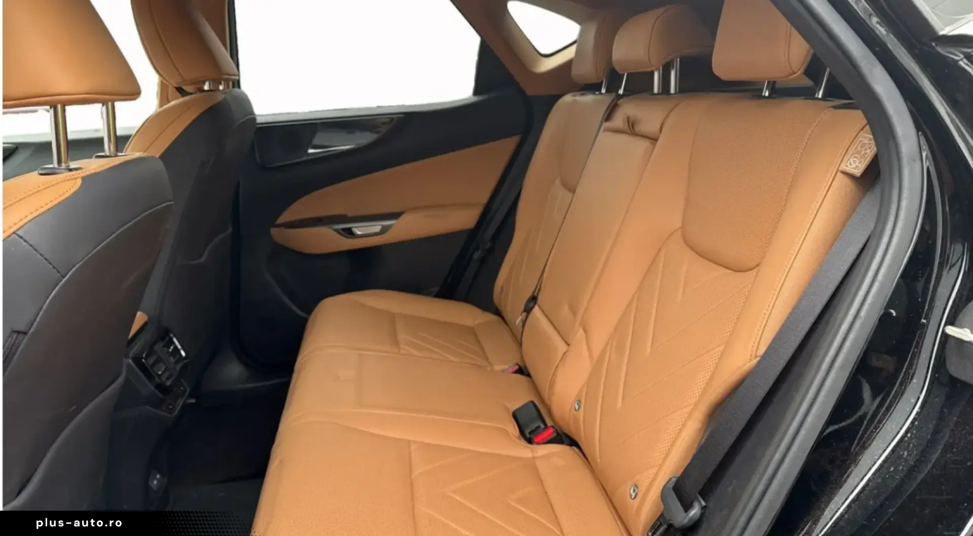 LEXUS NX 450 360  Leder Memory Sitzbelüftung