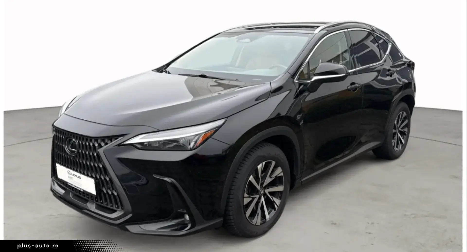 LEXUS NX 450 360  Leder Memory Sitzbelüftung