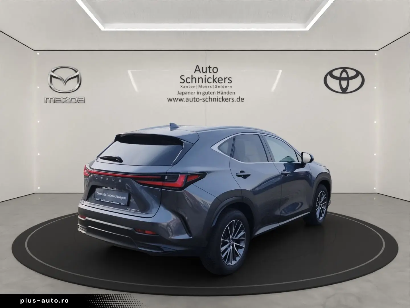 LEXUS NX 350h Executive Line GJ-RÄDER !!