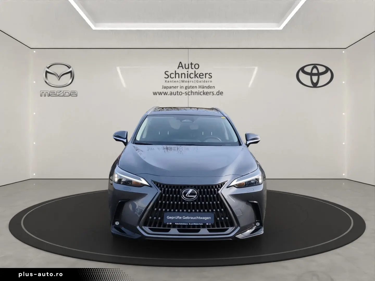 LEXUS NX 350h Executive Line GJ-RÄDER !!