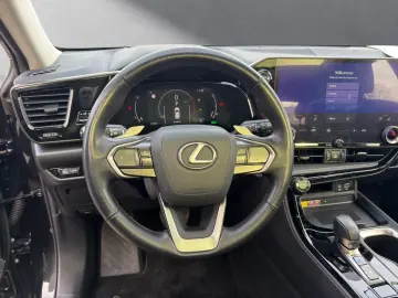 LEXUS NX 350h E-FOUR INTERIEUR- & TECHNIK-PAKET PANO