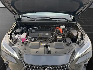 LEXUS NX 350h E-FOUR INTERIEUR- & TECHNIK-PAKET PANO