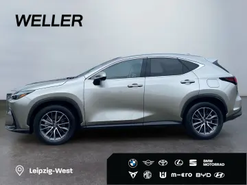 LEXUS NX 350h Executive Line  Bi-LED Pano Leder 360 HU