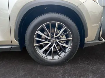 LEXUS NX 350h Executive Line  Bi-LED Pano Leder 360 HU