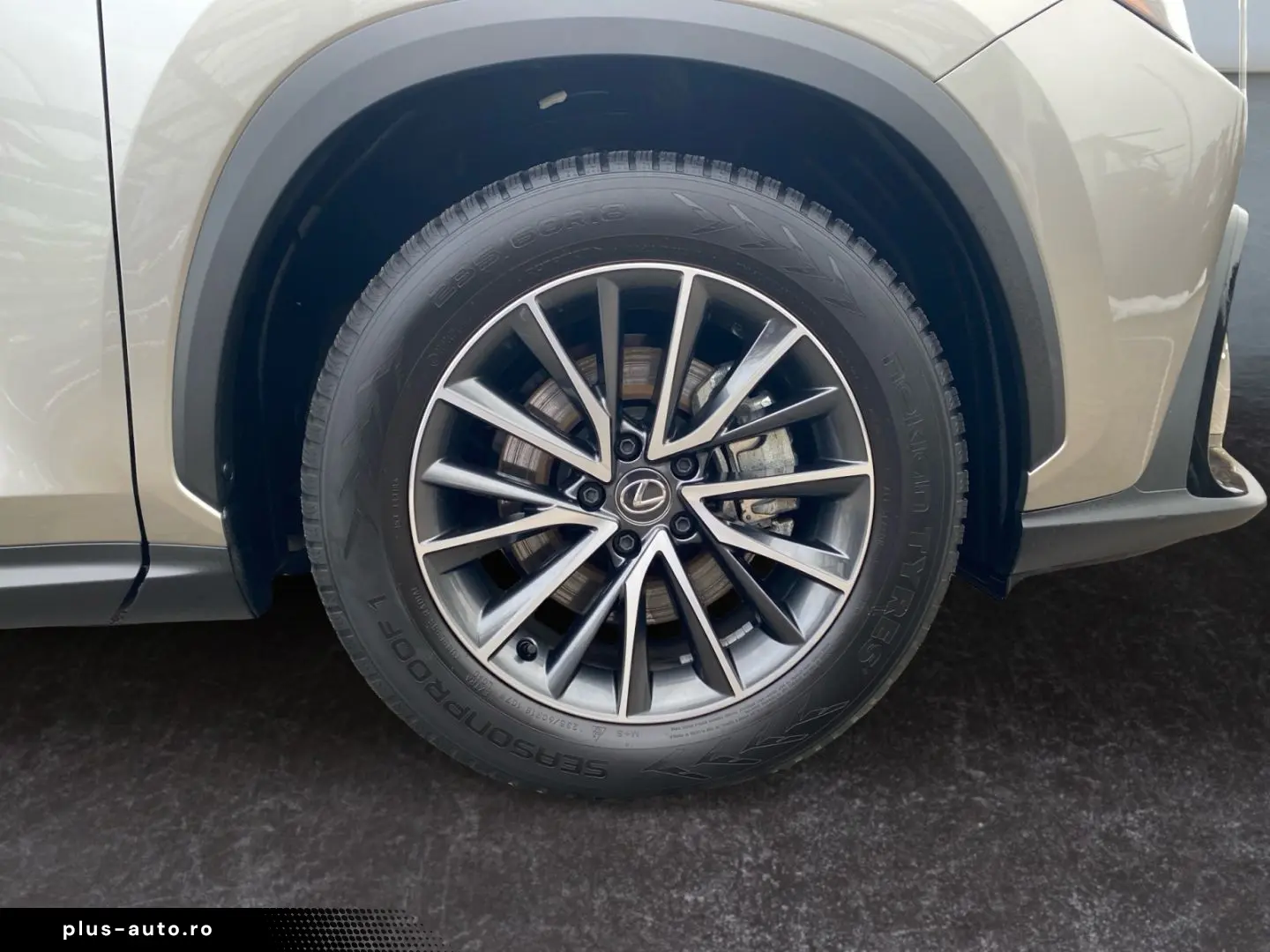 LEXUS NX 350h Executive Line  Bi-LED Pano Leder 360 HU