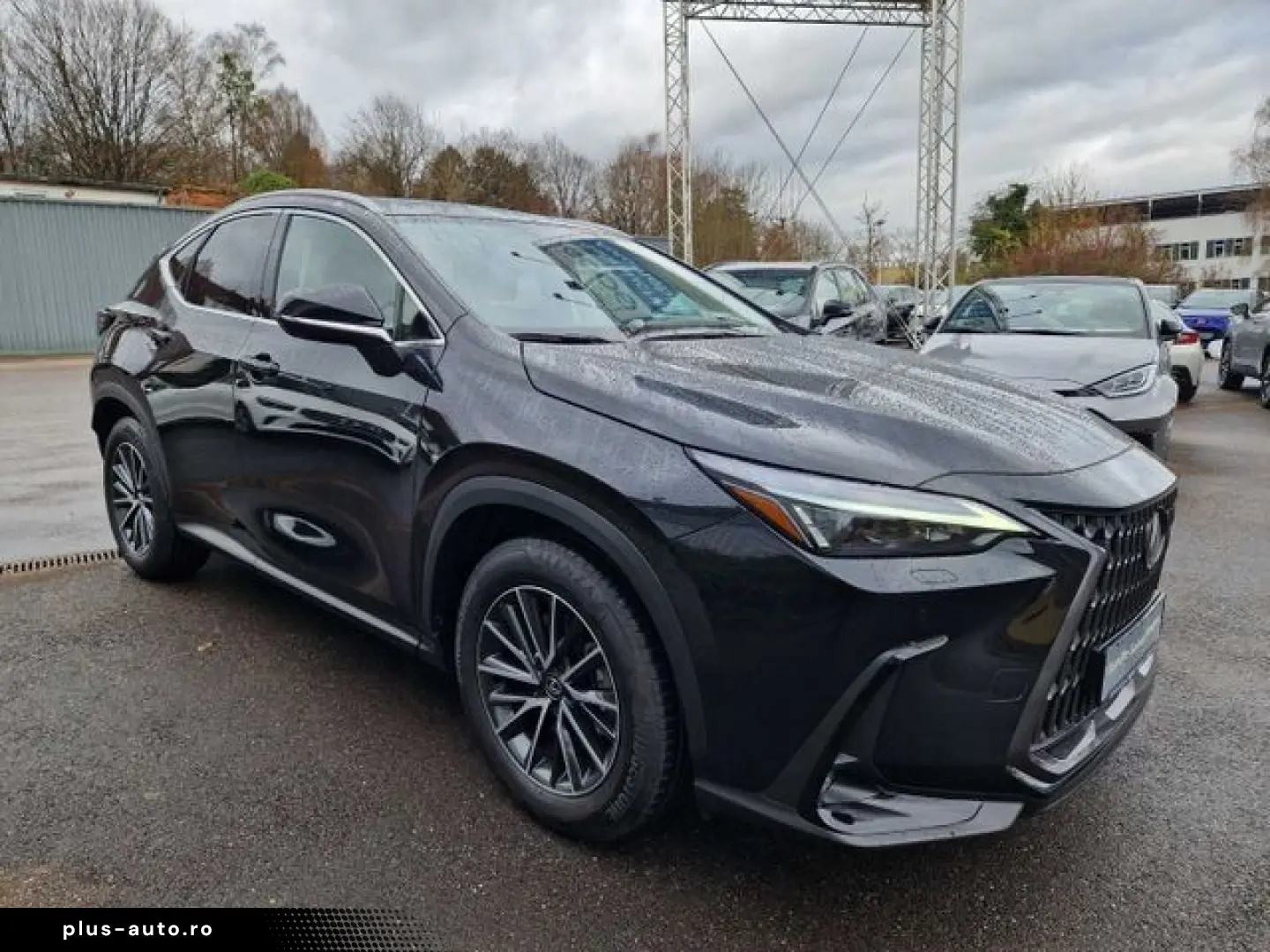 LEXUS NX 450h  E-FOUR Executive Line HUD Leder Navi 36