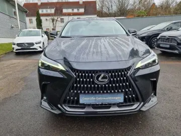 LEXUS NX 450h  E-FOUR Executive Line HUD Leder Navi 36