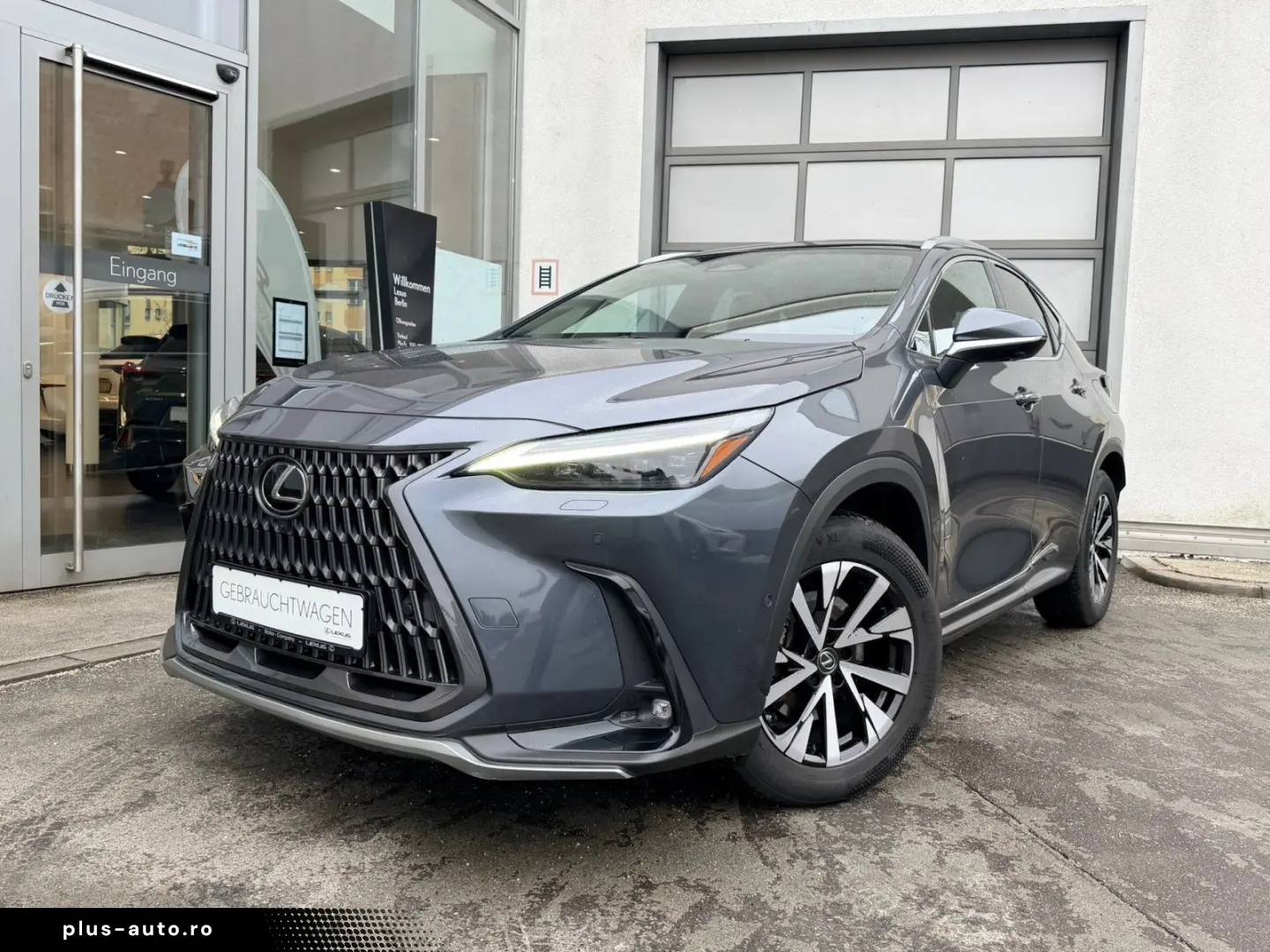 LEXUS NX 350h E-Four Luxury Line   Panoramadach   Wint