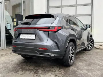 LEXUS NX 350h E-Four Luxury Line   Panoramadach   Wint