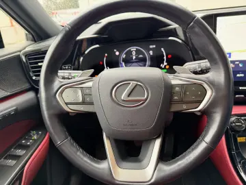 LEXUS NX 350h E-Four Luxury Line   Panoramadach   Wint