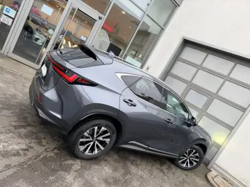 LEXUS NX 350h E-Four Luxury Line   Panoramadach   Wint