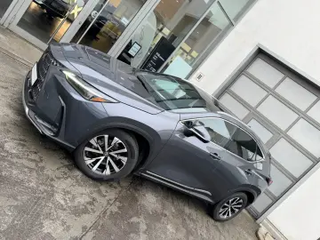 LEXUS NX 350h E-Four Luxury Line   Panoramadach   Wint