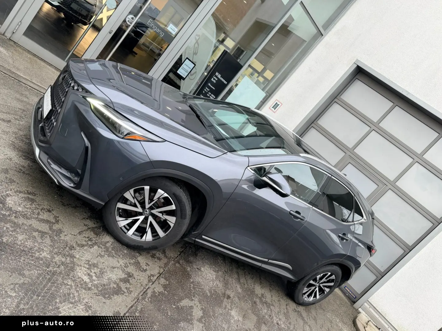 LEXUS NX 350h E-Four Luxury Line   Panoramadach   Wint