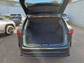 LEXUS NX 450h  E-FOUR Executive Line Technologie Paket