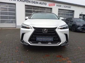 LEXUS NX 350h FWD  Executive Line   Leder   Head-Up-Di